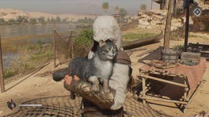 Basim pets a cat in the Abandoned Village in Assassin's Creed Mirage