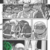 Teenage Mutant Ninja Turtles: Black, White & Green