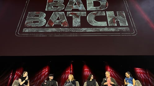 Bad Batch SWCE Panel