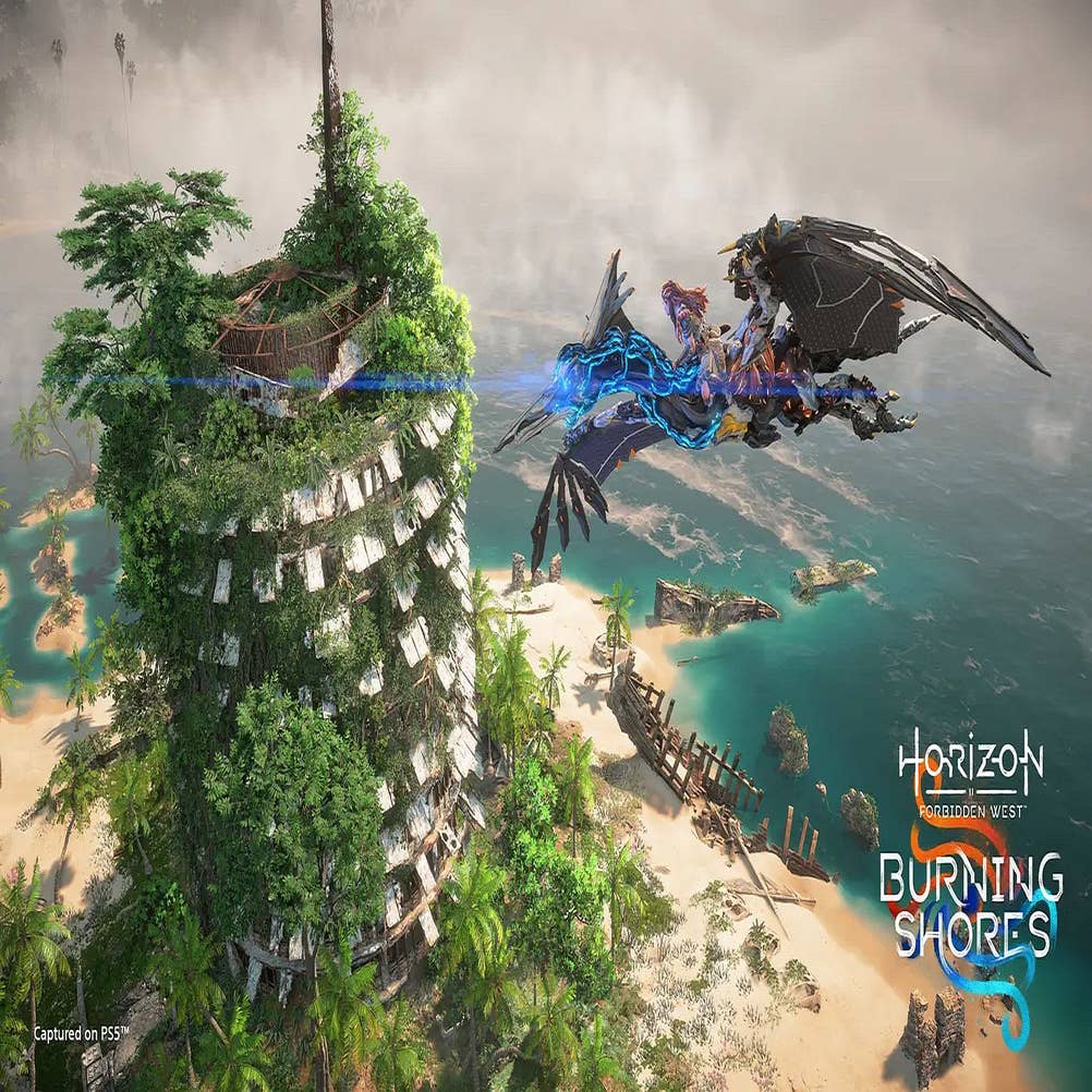 Horizon Forbidden West's Burning Shores DLC Can Give Brin a Bigger Role