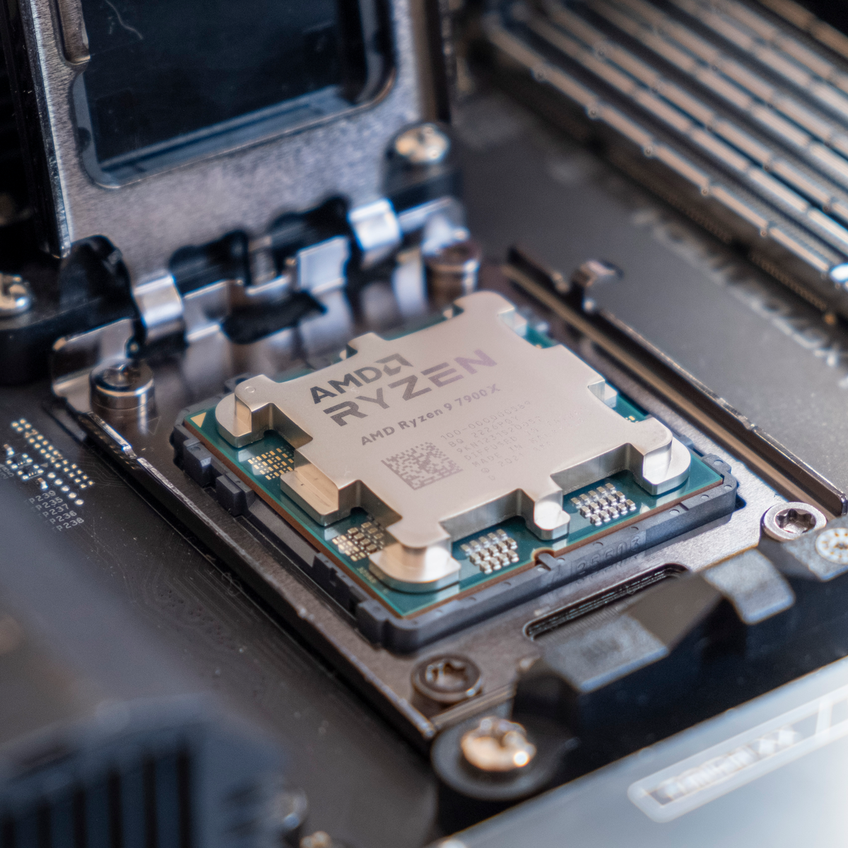 Computer Processor Amd