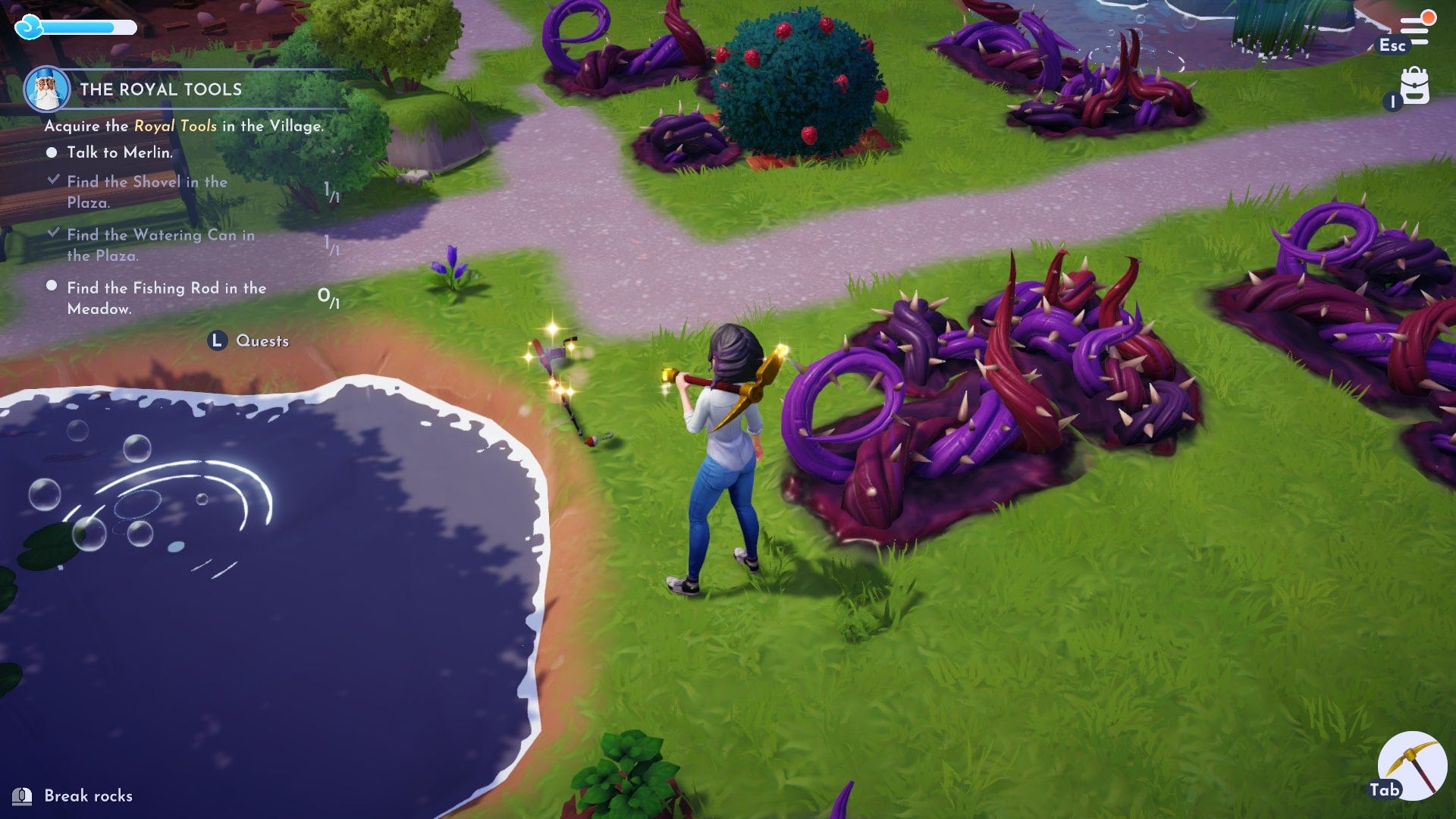 Disney Dreamlight Valley: All Royal Tool Locations for the fishing rod