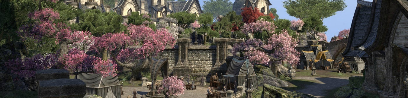 Elder Scrolls Online Review Still Loading VG247