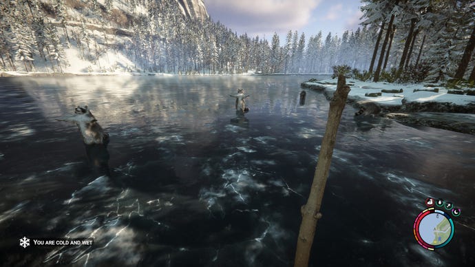 Des ratons laveurs posent dans un lac glacé dans Sons Of The Forest