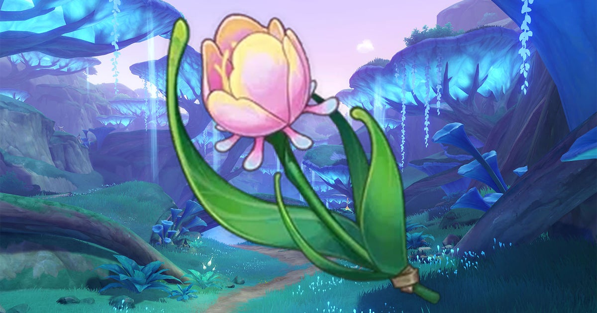 Where to find Rainbow Rose locations in Genshin Impact