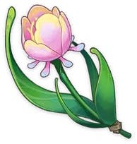 Blume mit einem großen grünen Dampf und hellrosa Blütenblättern