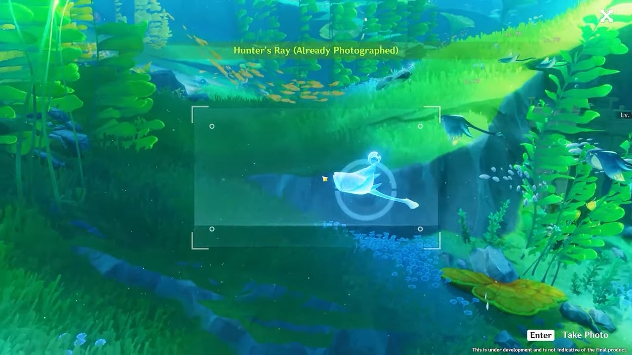 Captura de pantalla del juego que muestra al jugador tomando una fotografía de una criatura azul bajo el agua.