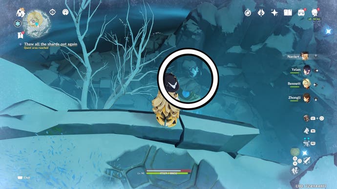 Navia schaut auf den letzten Shard auf dem Dragonspine's Summit, wobei der Shard eingekreist