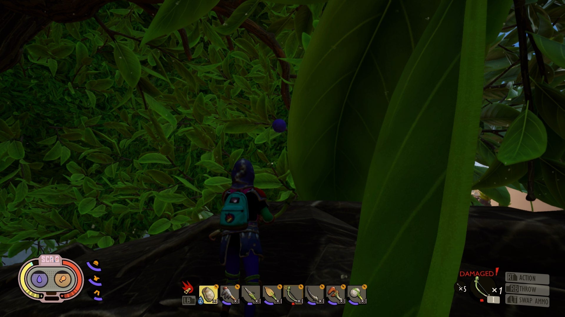 Grounded How to Get Berry Leather VG247