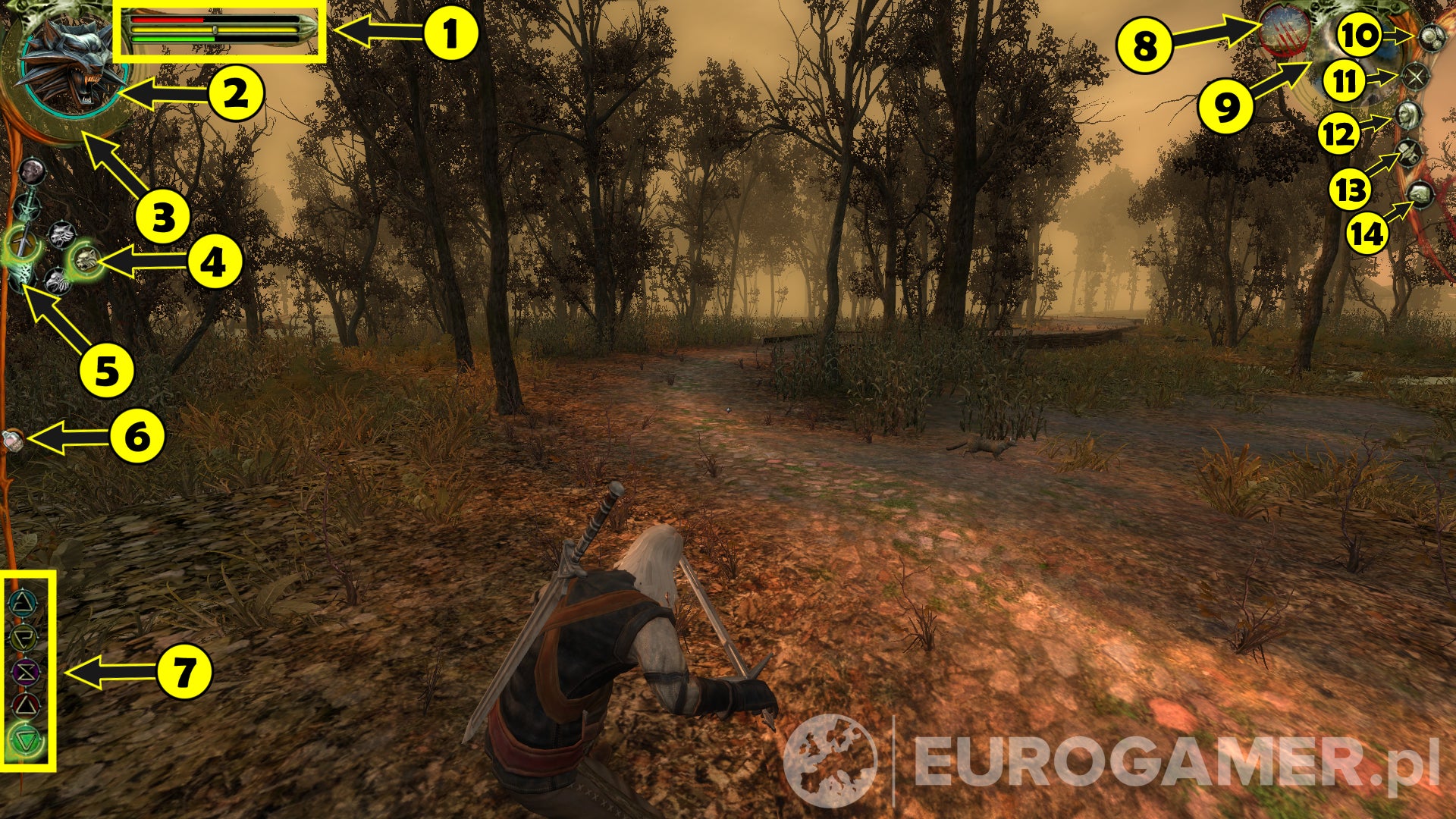 Wiedźmin 1 - Poradnik, Solucja | Eurogamer.pl