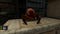 Lamaar, Dr Kleiner's pet headcrab, in the original Half-Life 2.