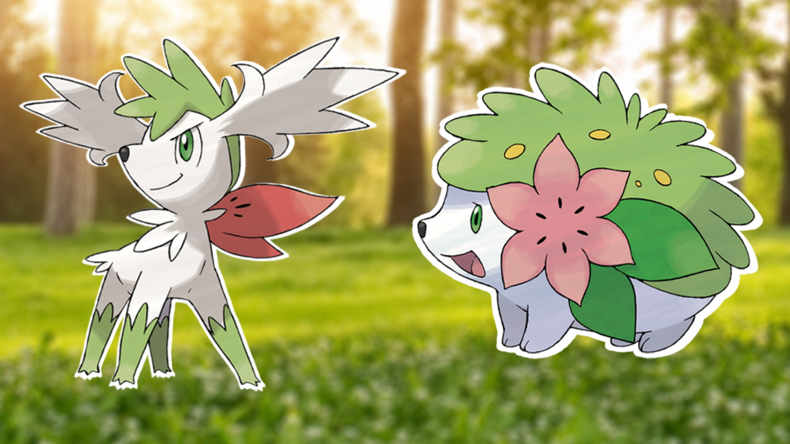 Shaymin Sky form but its based on a cat