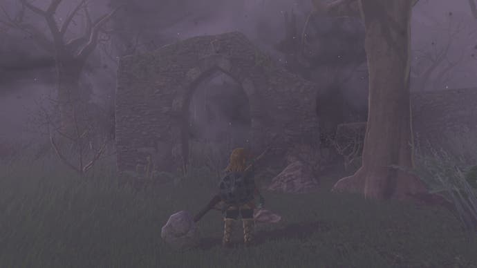 Link standing in the Lost Woods in The Legend of Zelda: Tears of the Kingdom.