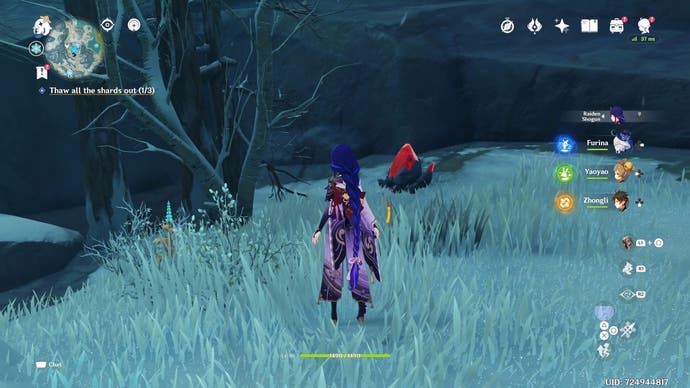 Raiden Shogun betrachtet eine kleine rote Bergbauvene im Schnee am Dragonspir -Berg