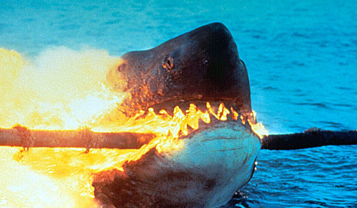 Jaws The shark series ranked from worst to best Popverse