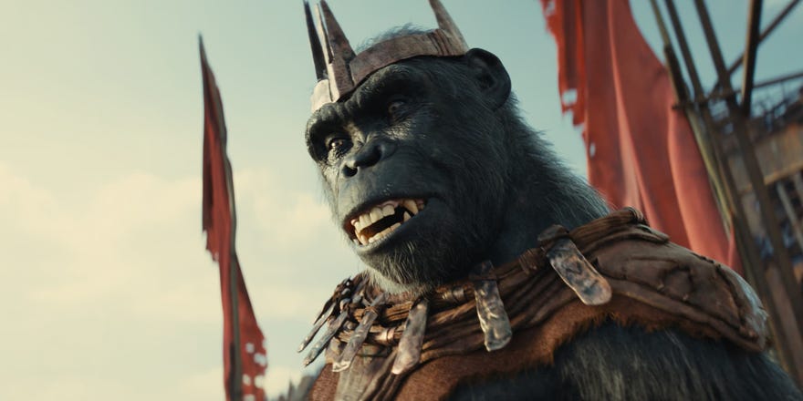 Production still from Kingdom of the Planet of the Apes