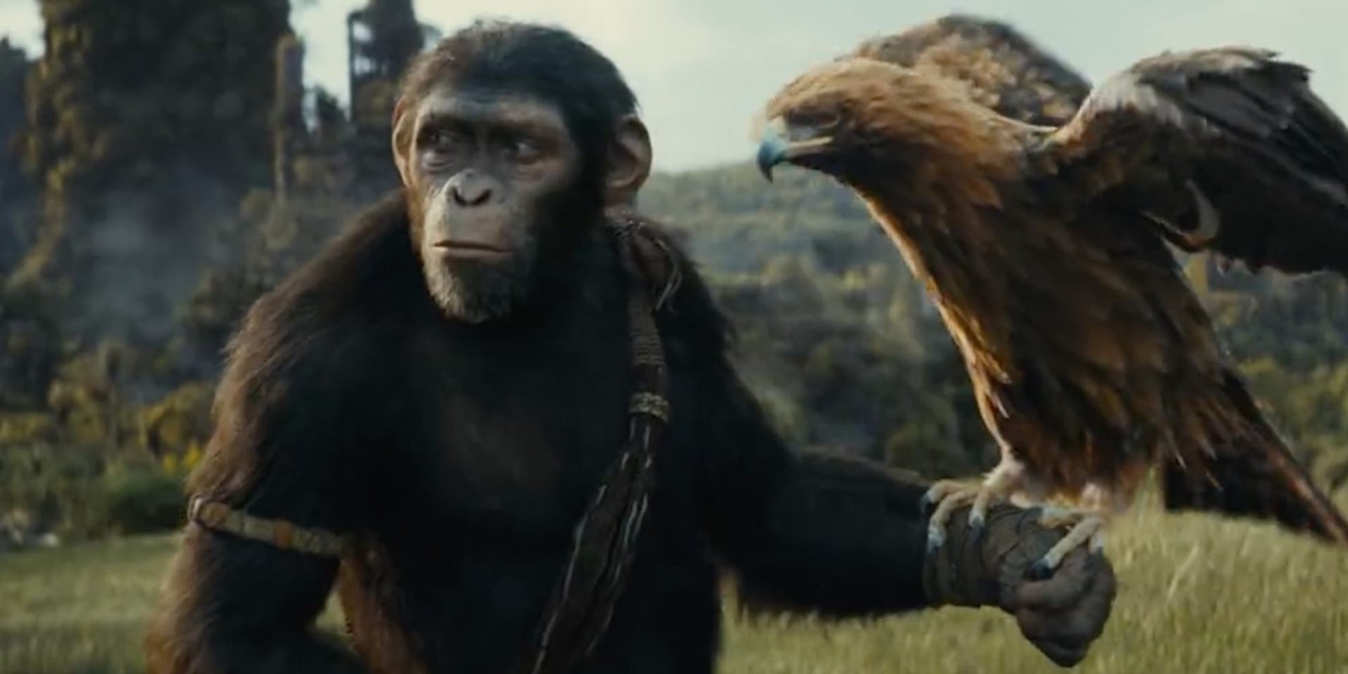 Kingdom of the of the Apes release date When is the next monkey