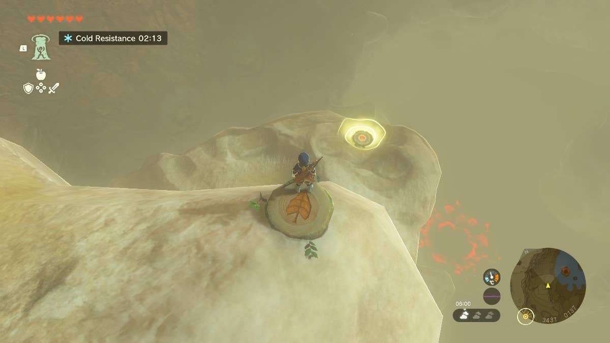 The Kingdom And All Korok Seed Puzzles