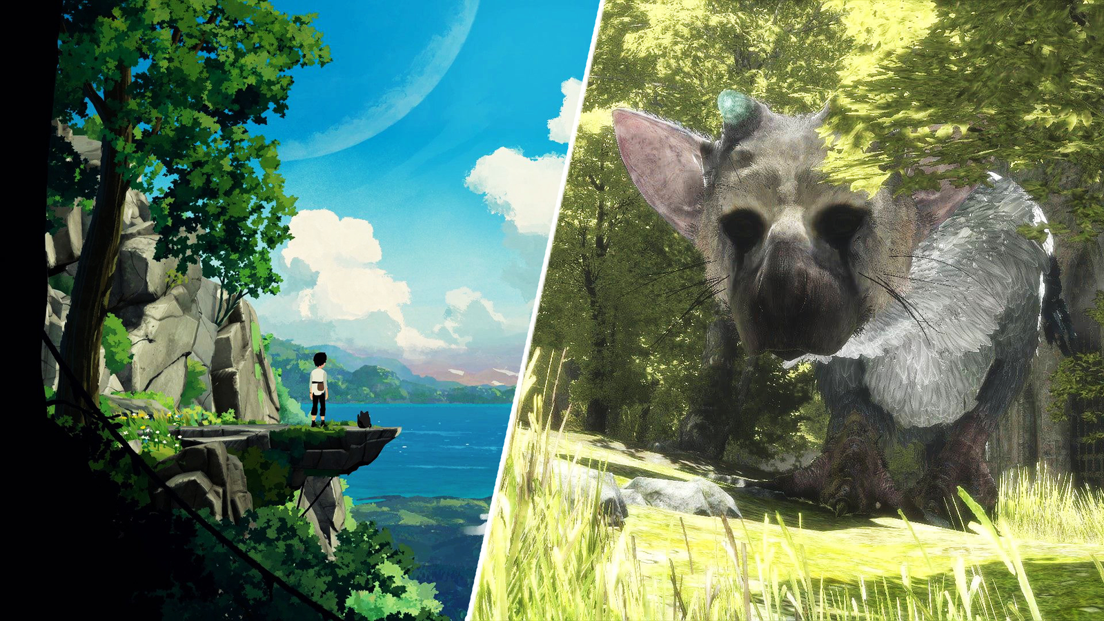 Ueda Hints He Could Go Back To Shadow of The Colossus-Like Open World After  The Last Guardian