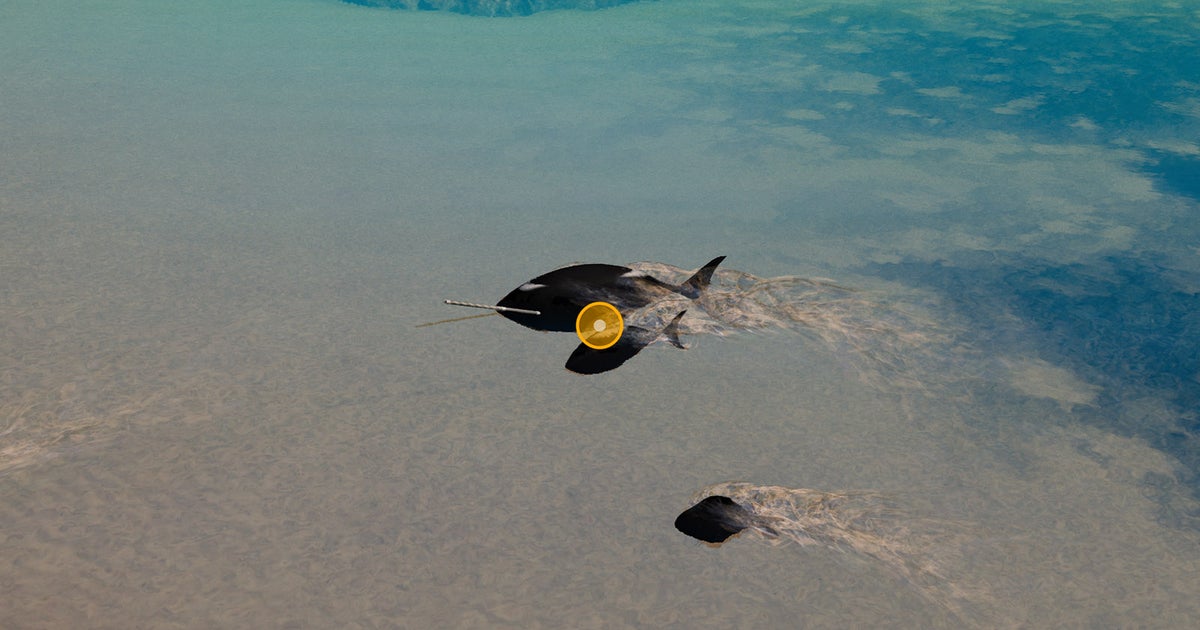 Fishing and all fish listed in Like A Dragon Infinite Wealth Dondoko