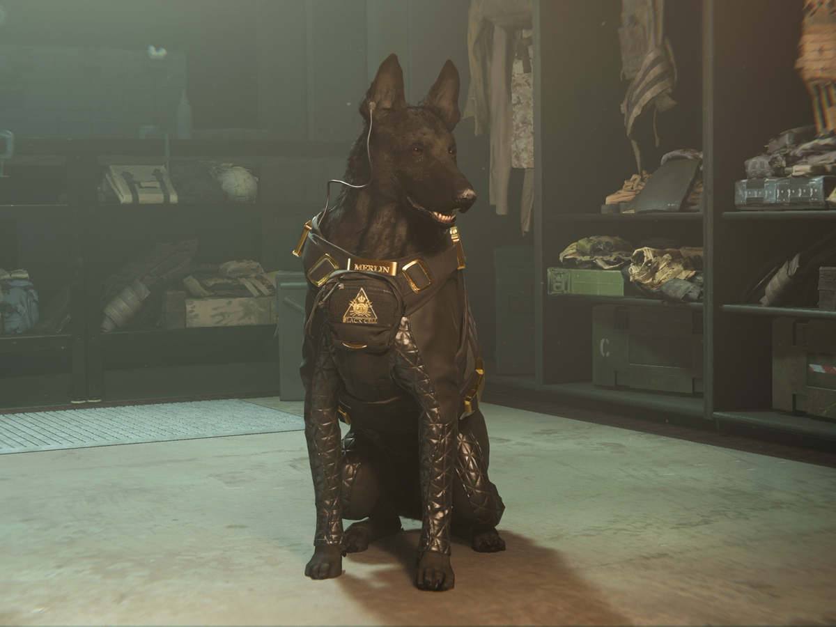 Call Of Duty Ghosts Riley Attack