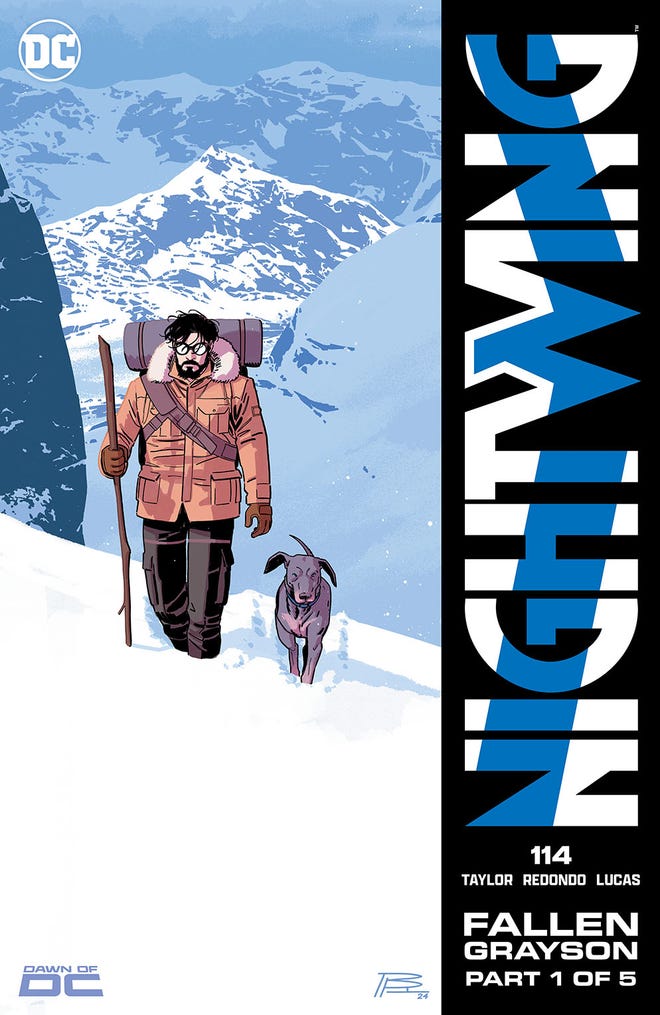Nightwing #114 cover