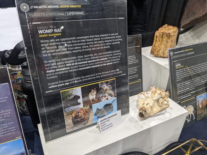 Photograph of display for Cosplay for Science