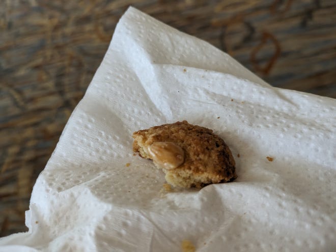 A half-eaten almond cookie