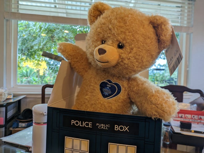 Photograph of bear in TARDIS box