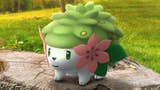 Image for Pokémon Go Grass and Gratitude quest steps and rewards for catching Shaymin
