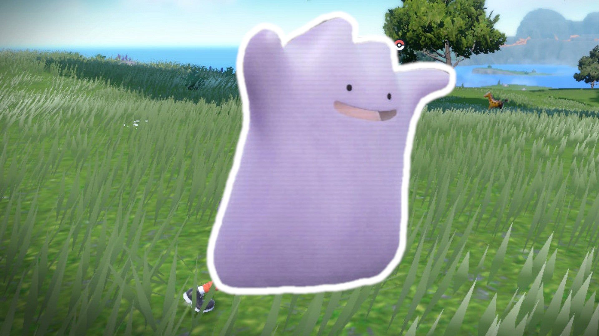 Pokémon Karmesin und Purpur: Ditto finden und fangen - Hier müsst ihr ...