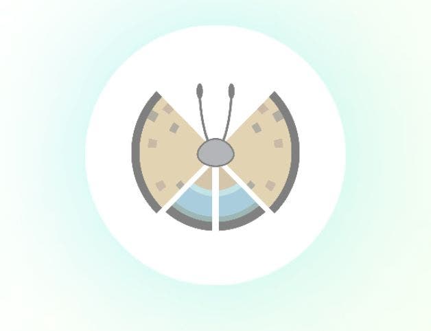 Pokémon Go Vivillon map, Vivillon patterns and how to get Scatterbug ...