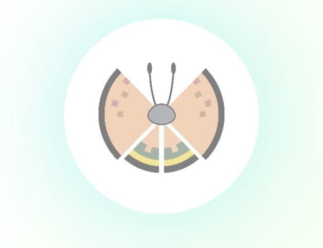 Pokémon Go Vivillon map, Vivillon patterns and how to get Scatterbug ...