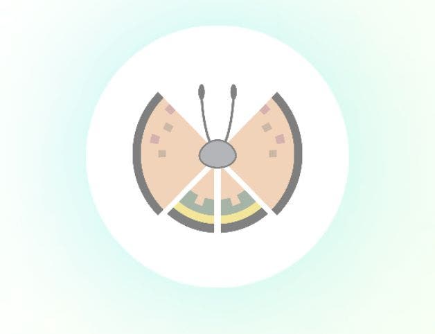 Pokémon Go Vivillon map, Vivillon patterns and how to get Scatterbug ...