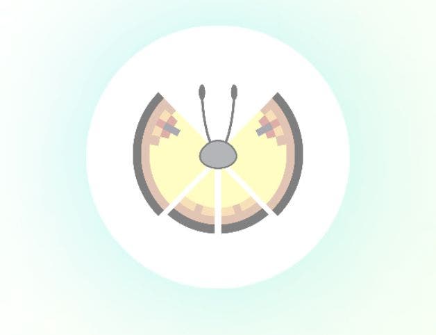 Pokémon Go Vivillon map, Vivillon patterns and how to get Scatterbug ...