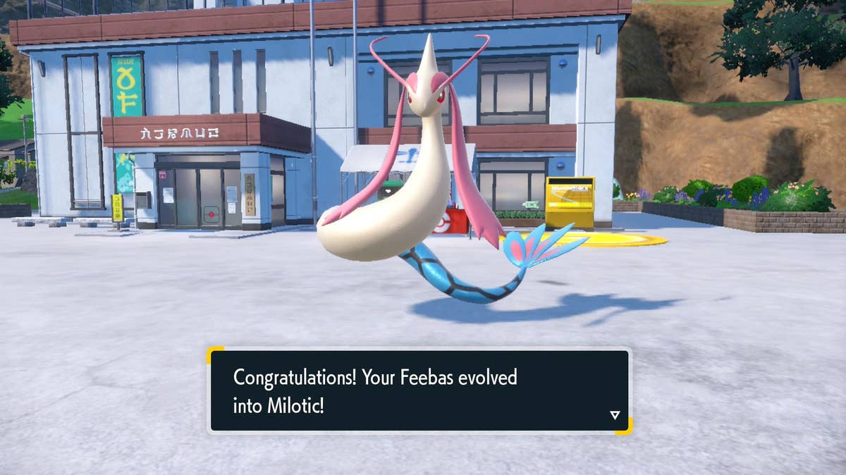 Milotic Height Pokemon Milotic Evolution