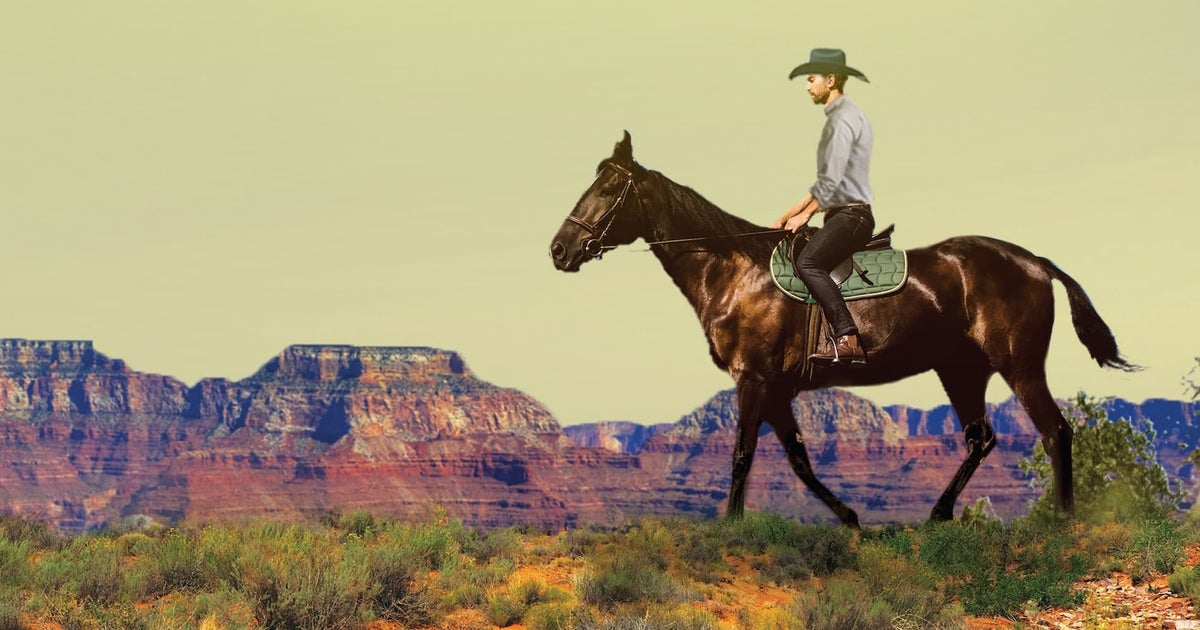 Ransom Canyon cast: Who is starring in Netflix's new Yellowstone-esque ...
