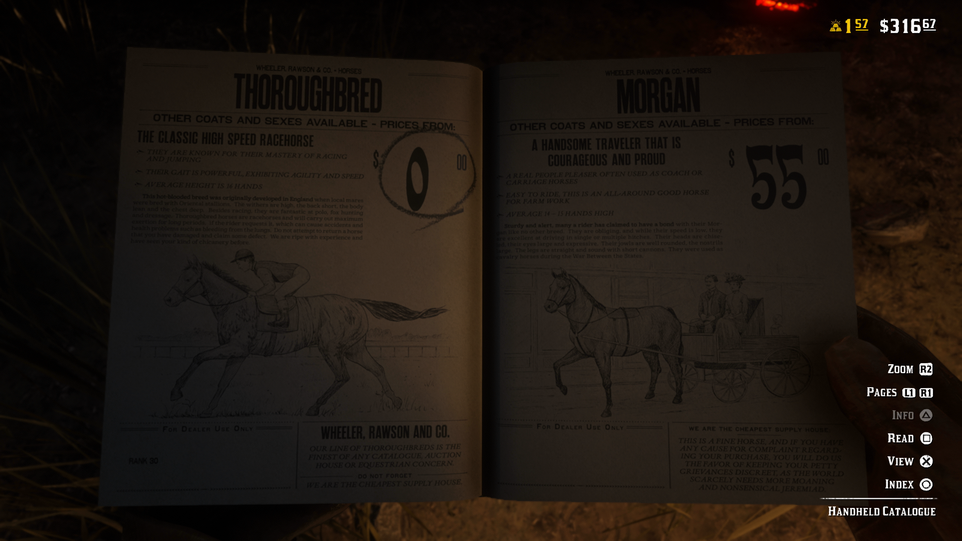 Red Dead Online Best Horses Horse Insurance Explained, How to Get the
