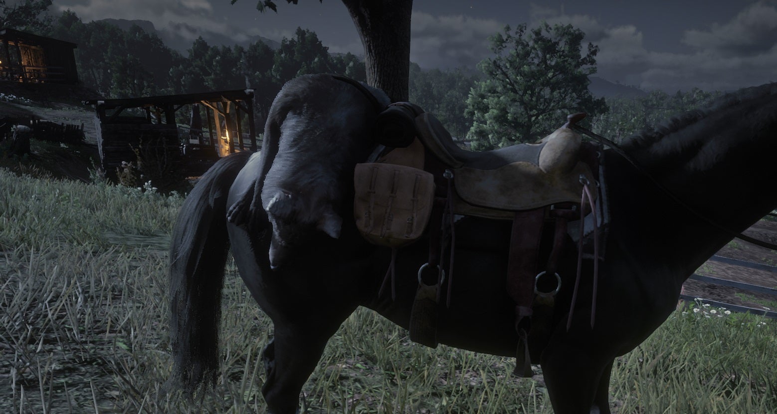 Details 148+ best saddle bag rdr2 super hot esthdonghoadian