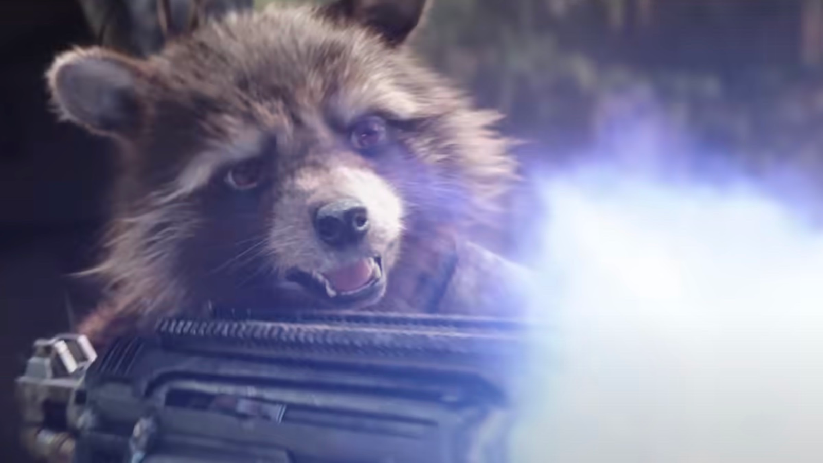 rocket raccoon marvel movie