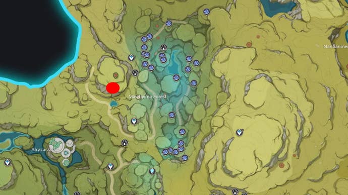 מיקומי פטריות Rukkhashava: מפה המציגה מיקומי Rukkhashava ביער Mawtiyima