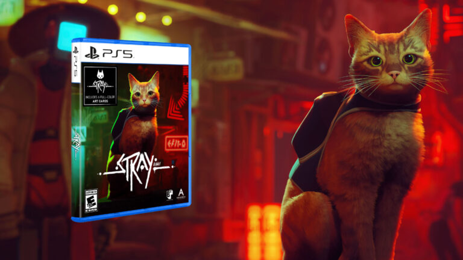 Stray: jogo já está disponível para PC, PS4 e PS5!