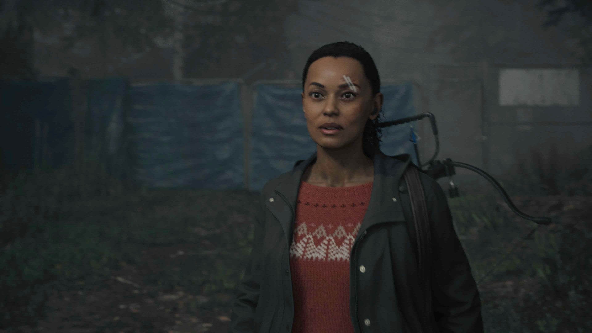 Now you can knit yourself Saga's jumper from Alan Wake 2