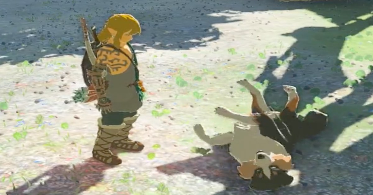 اللاعبون ليسوا سعداء لأنك لا تستطيع مداعبة الكلب في Zelda: Tears of the Kingdom