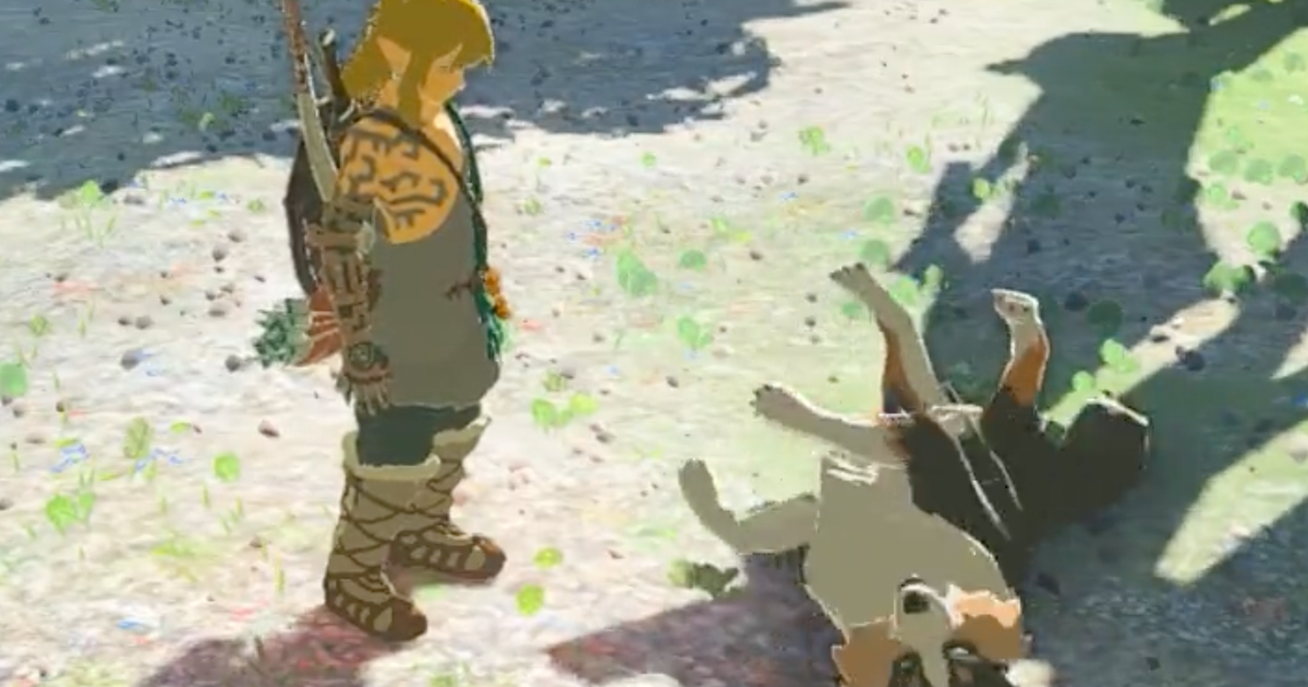 Die Spieler sind nicht glücklich darüber, dass man den Hund in Zelda: Tears of the Kingdom nicht streicheln kann