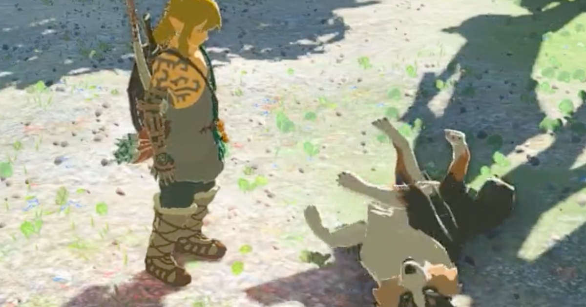 Die Spieler sind nicht glücklich darüber, dass man den Hund in Zelda: Tears of the Kingdom nicht streicheln kann Die Spieler sind nicht glücklich darüber, dass man den Hund in Zelda: Tears of the Kingdom nicht streicheln kann