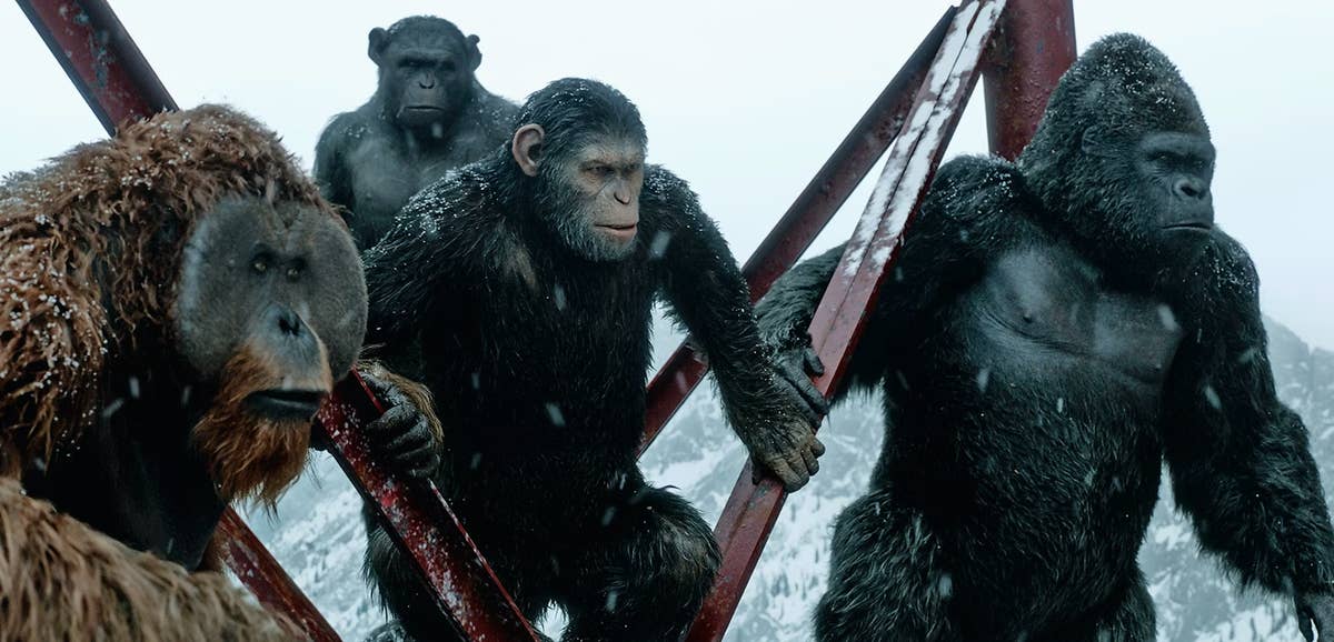 Planet of the Apes How to watch the movies in chronological and