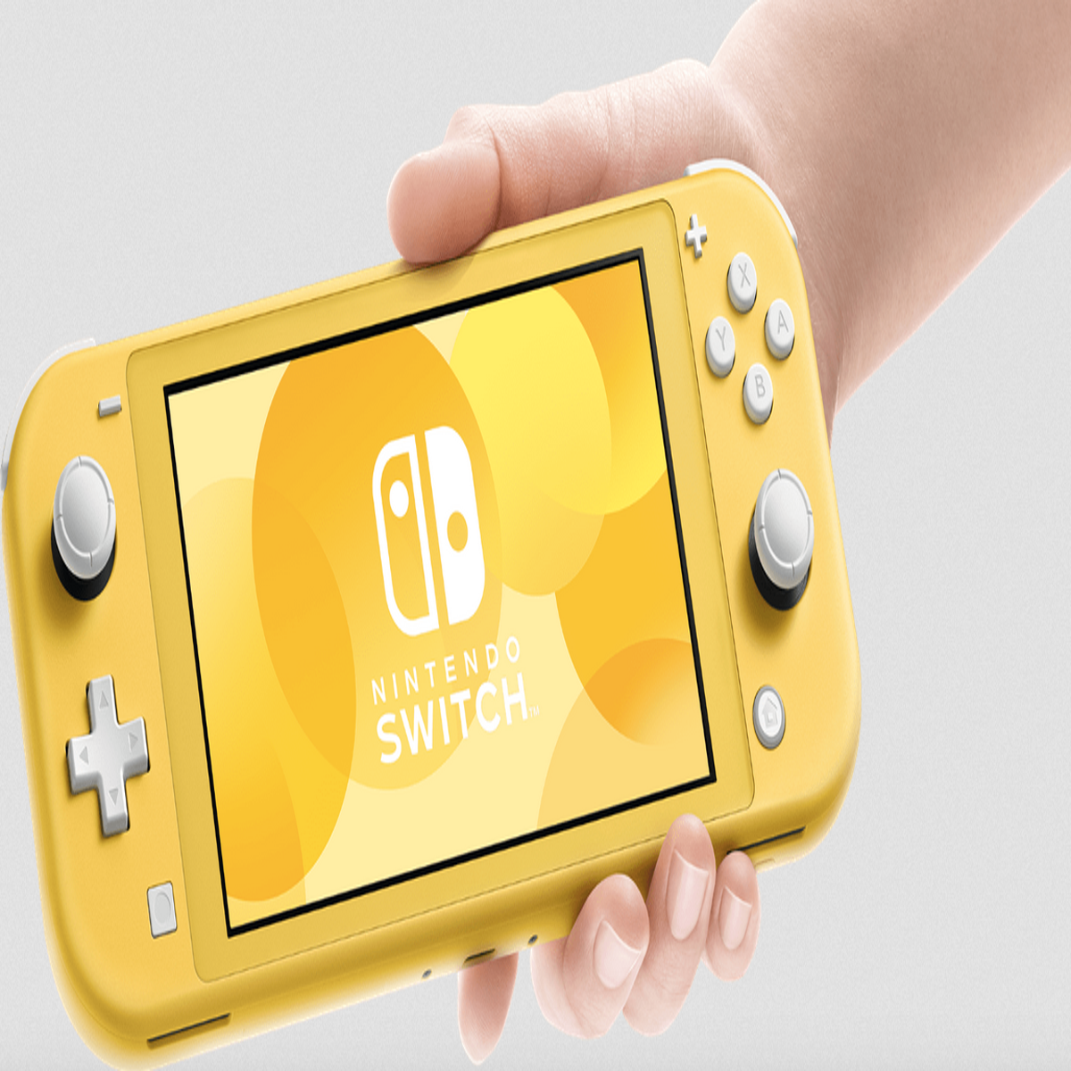 Switch Lite is destined for success, but Switch Pro is the important one | |