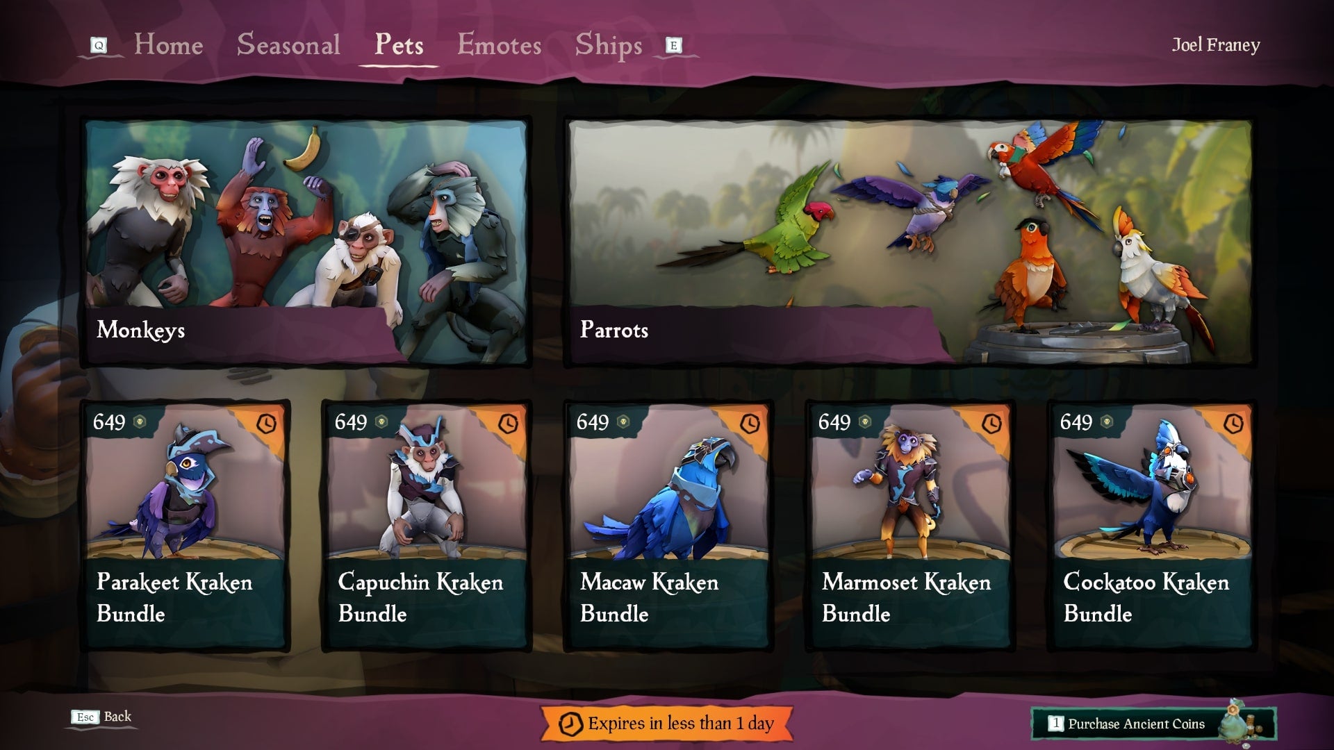 Sea of Thieves How to Get and Use Pets VG247