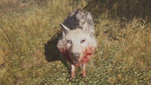 Image for Far Cry Primal Beast Master Hunt - The Snowblood Wolf